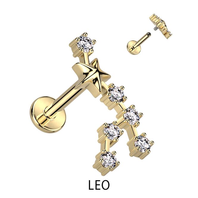 Hovedbillede Zodiac Constellation ...