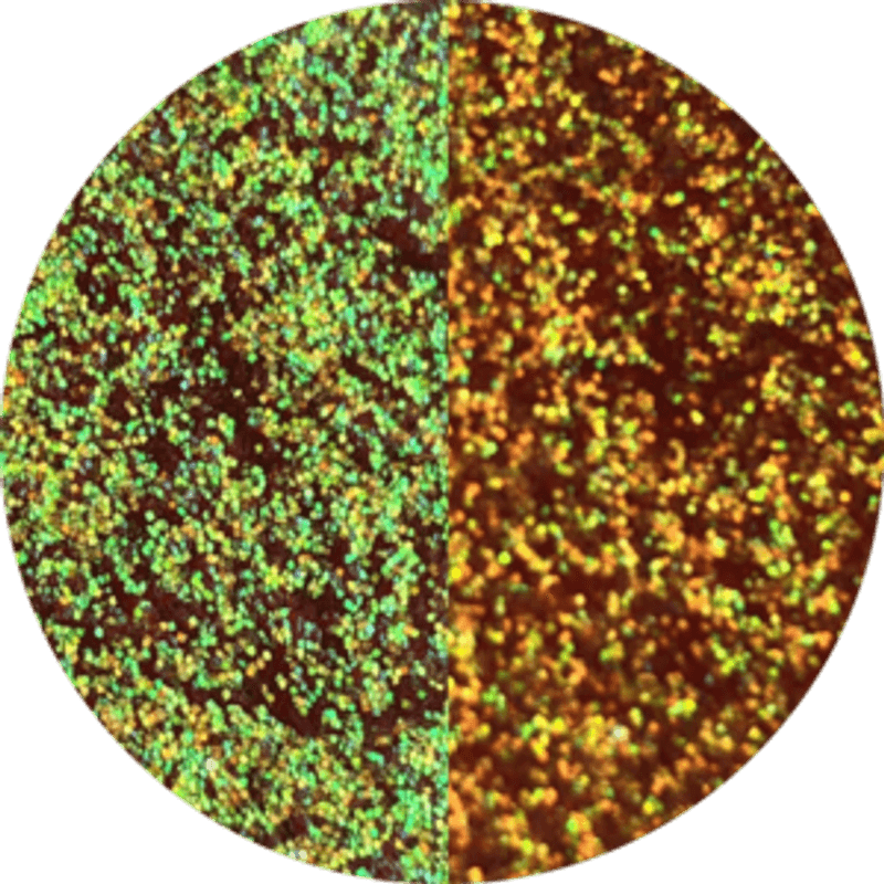 Pressed Glitter Coral