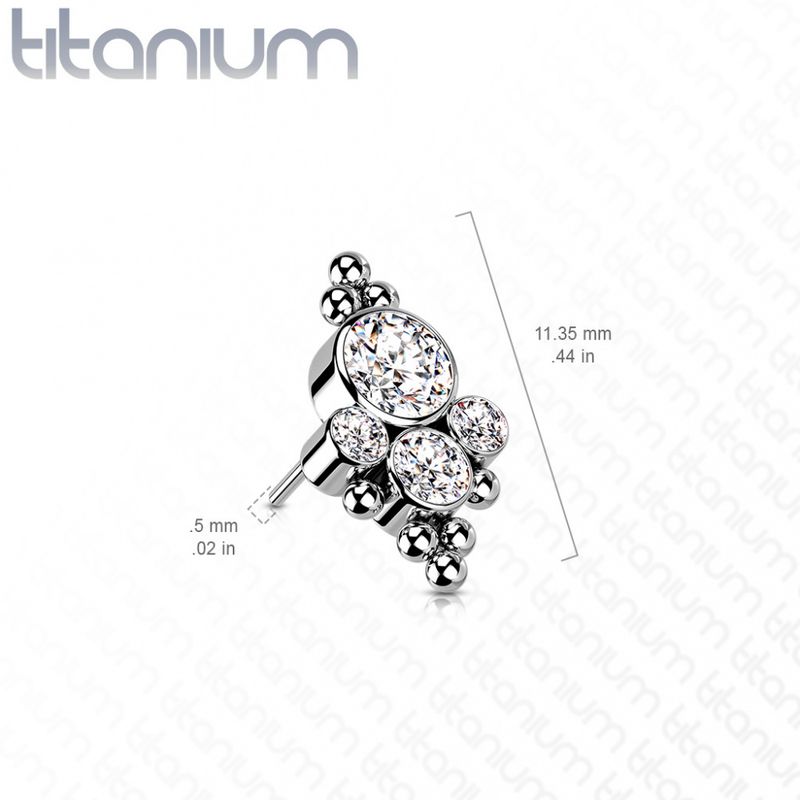Paw Tiara Push-fit Clear