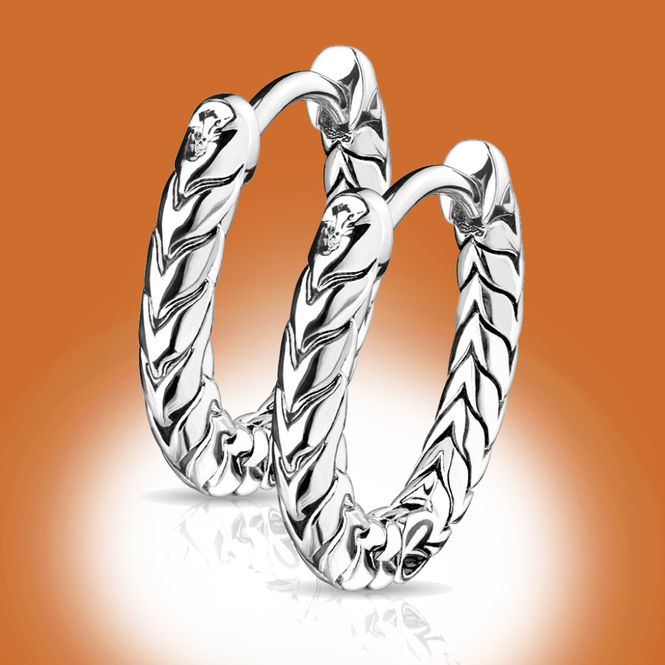 Main Image Dragon Braid Hoop Earrings 