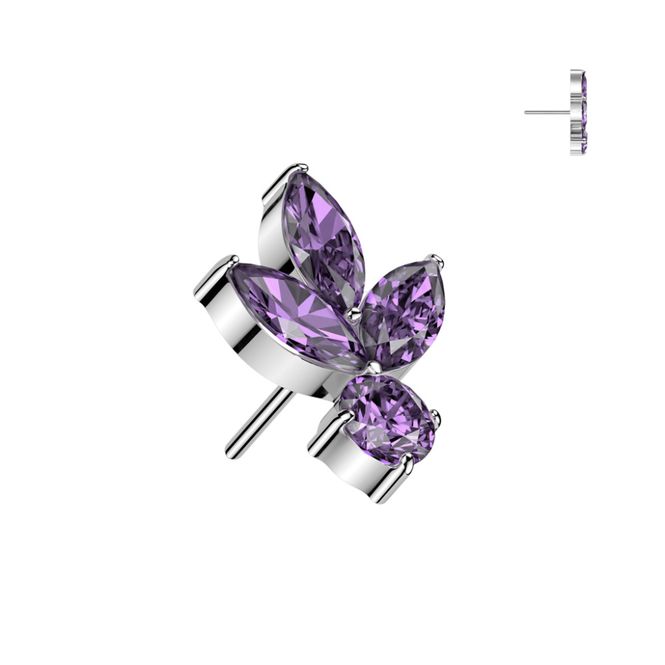 Hoofdbeeld Sierra Lilly Push-fit Purple