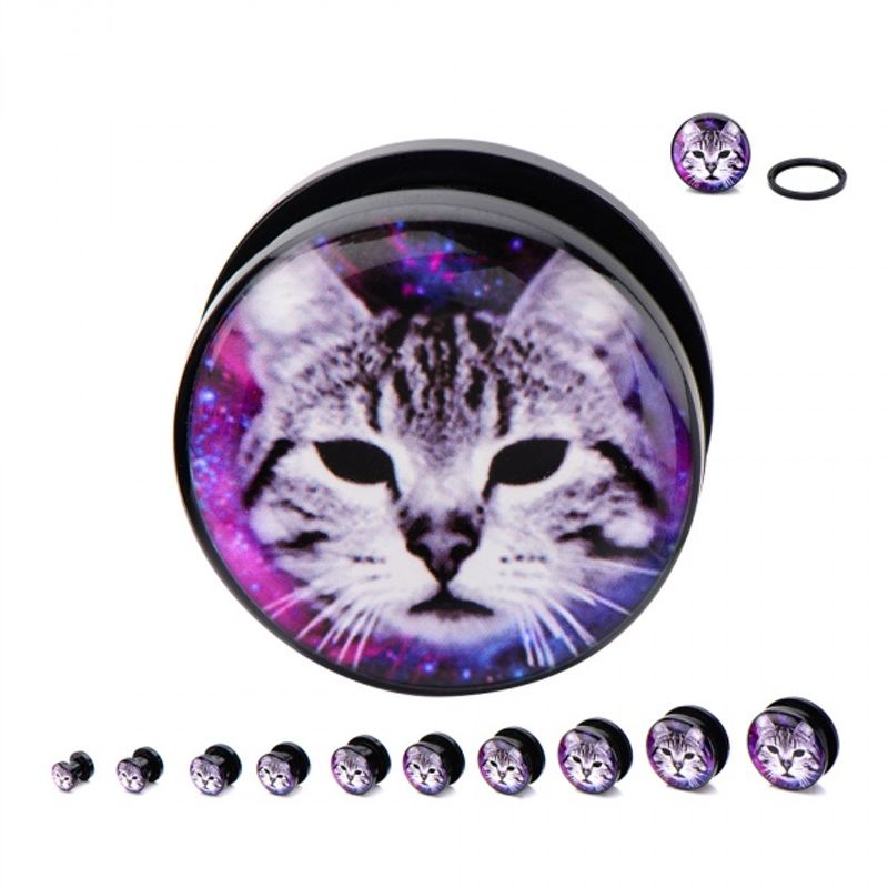 Galaxy Cat