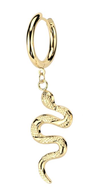 Hovedbillede Big Snake Hoop Earring Gold