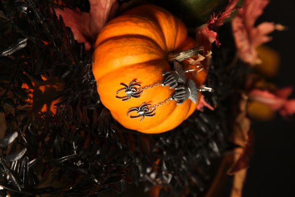 Hovedbilde Miss Spider Earrings