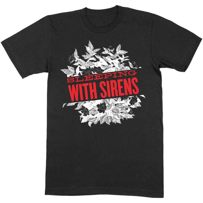 Hoofdbeeld Sleeping With Sirens 