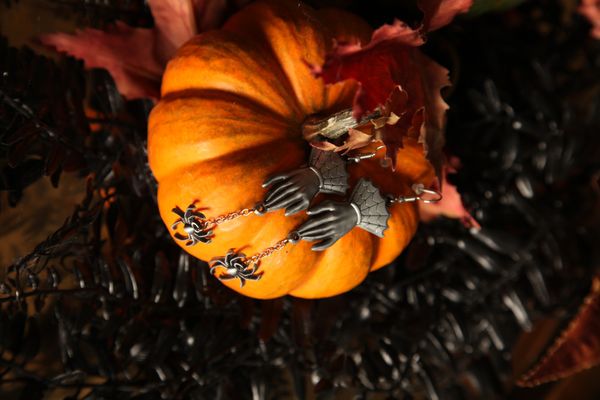 Hovedbilde Miss Spider Earrings