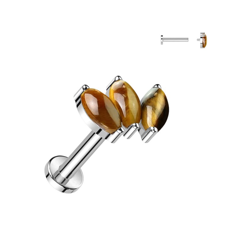 Selma Tiger Eye Internally Threaded Labret